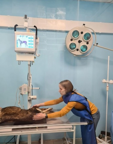 Ветеринарная клиника ЛефортовоВет в Москве: УЗИ, Рентген, Онлайн-услуги, Стрижка, Выездные службы,