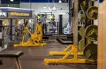 Миниатюра 5