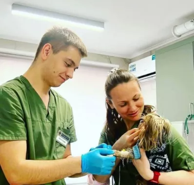 Ветеринарный центр "Doc&Dog".