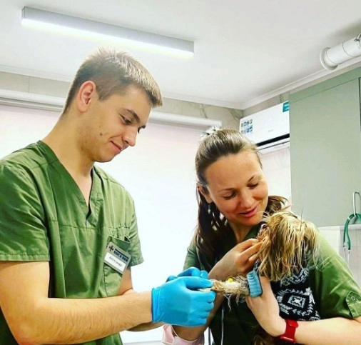 Ветеринарный центр Doc&Dog в Москве: Выезд на дом, Ветаптека, УЗИ, Стрижка, ОКА крови, Чипирование,