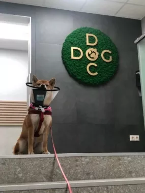 Ветеринарный центр "Doc&Dog".