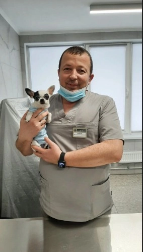 Ветеринарный центр Doc&Dog в Москве: Выезд на дом, Ветаптека, УЗИ, Стрижка, ОКА крови, Чипирование,