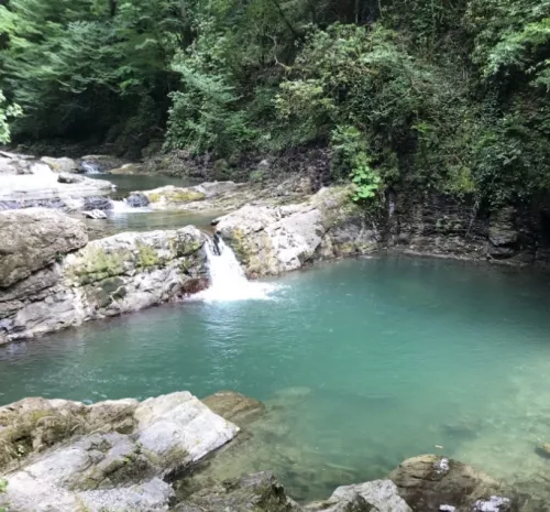 Самшитовые водопады  в  Сочи
