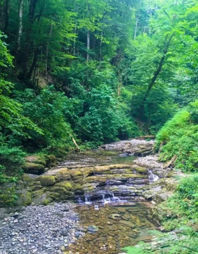 Водопады на ручье Сванидзе  в  Сочи