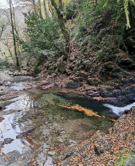 Водопады на ручье Сванидзе