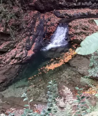Водопады на ручье Сванидзе