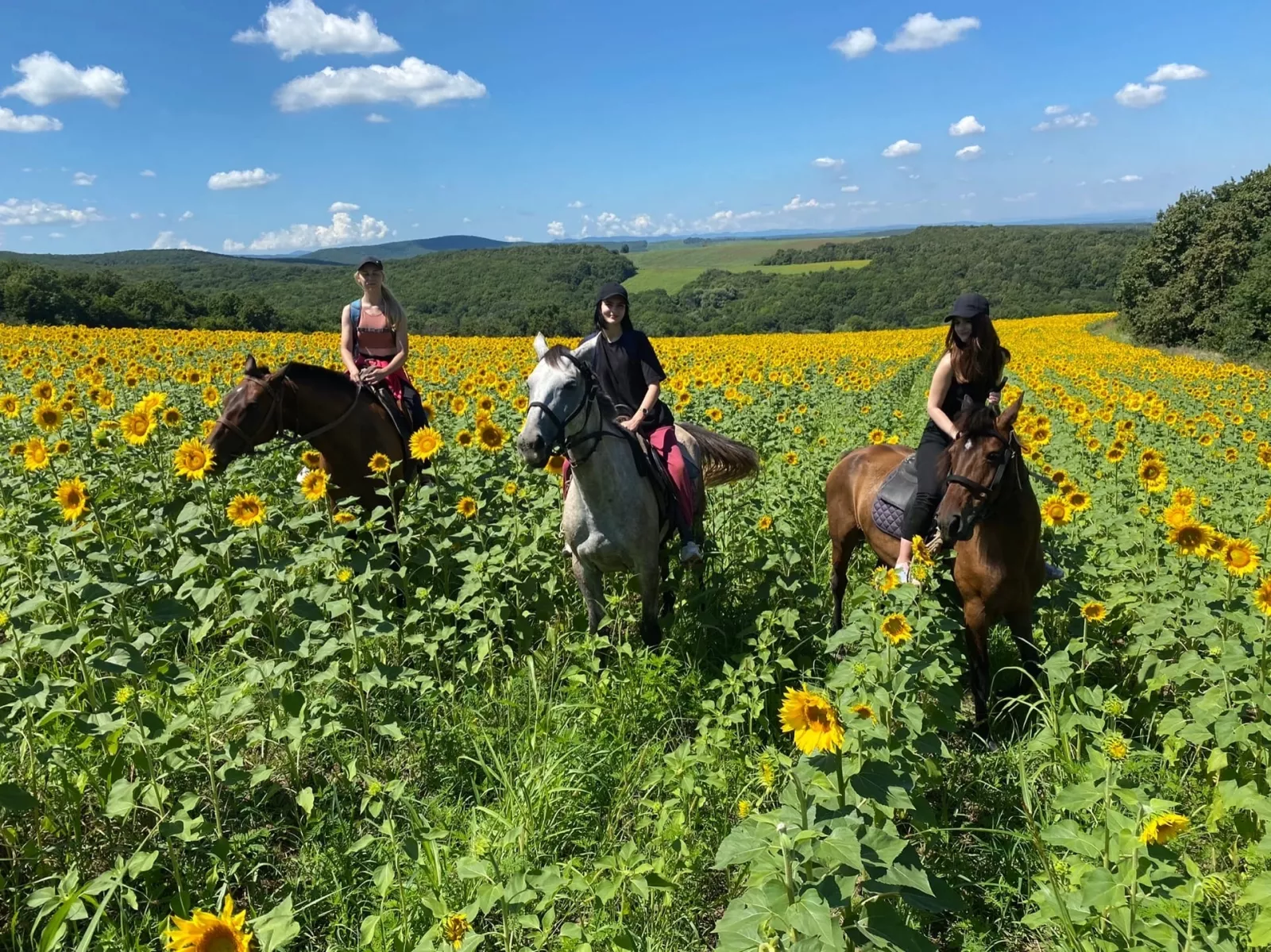 Большое фото 9
