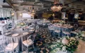 Миниатюра 13