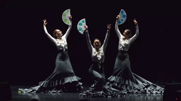 Школа танцев "Визит"