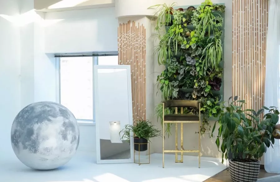 Фотостудия Купол в Краснодаре: Аренда, Фото, Фотосессия, Услуги, Разное,