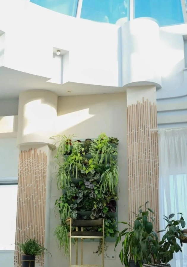 Фотостудия Купол в Краснодаре: Аренда, Фото, Фотосессия, Услуги, Разное,