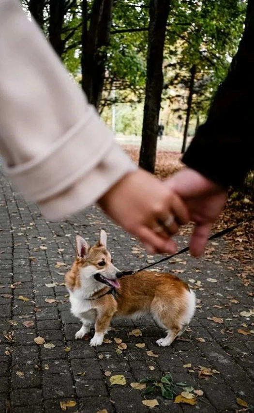 Фотограф Дмитрий Котин в Краснодаре: Фото, Фотограф, Разное,