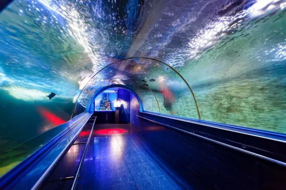 Океанариум "OCEAN PARK"