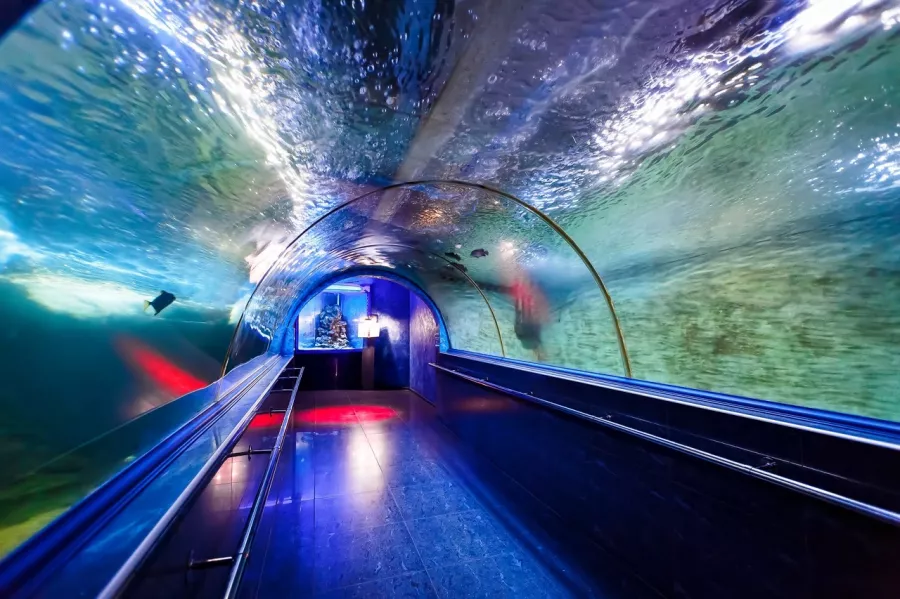 Океанариум OCEAN PARK в Краснодаре: Океанариум, Рыбы, Аквариум, Дети, Развлечение, Акулы, Музей,