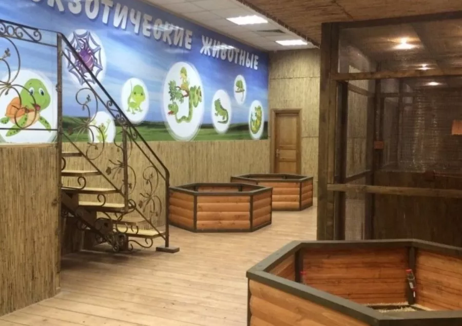Трогательный зоопарк в Краснодаре в Краснодаре: Зоопарк, Любимцы, Дети, Развлечение, Контактный зоопарк, Кролики,
