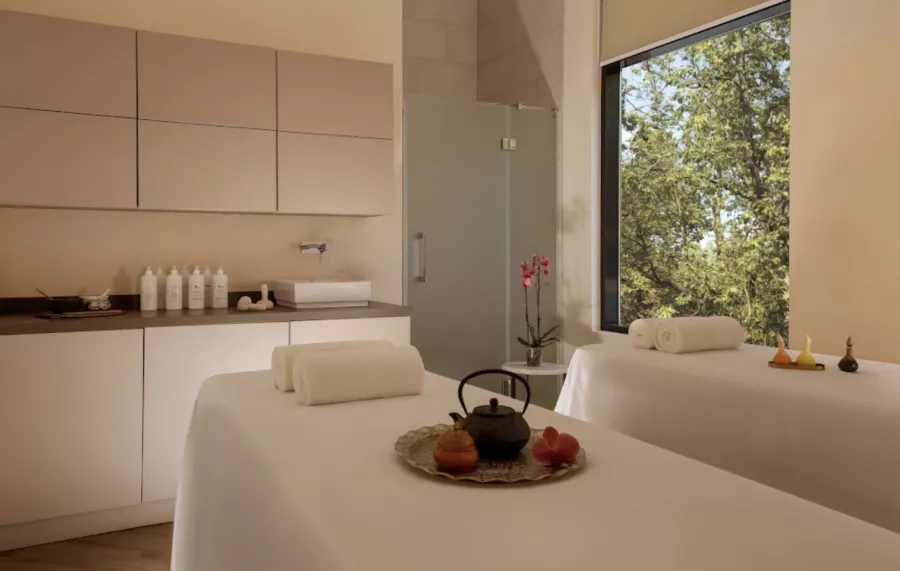 Palmira Garden Hotel & SPA в Видном: Отель, СПА, Массаж, Бассеин, Люкс, Номер, Ресторан,