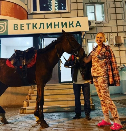 Ветеринарная клиника Усатый полосатый в Москве: Стрижка, Кастрация, Вакцинация, Чипирование, Оксигенотерапия, Выезд на дом,
