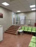 Миниатюра 5