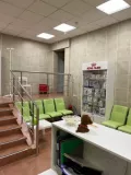 Миниатюра 8