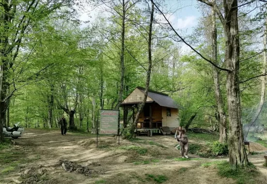 Эко-парк "Зелёное".