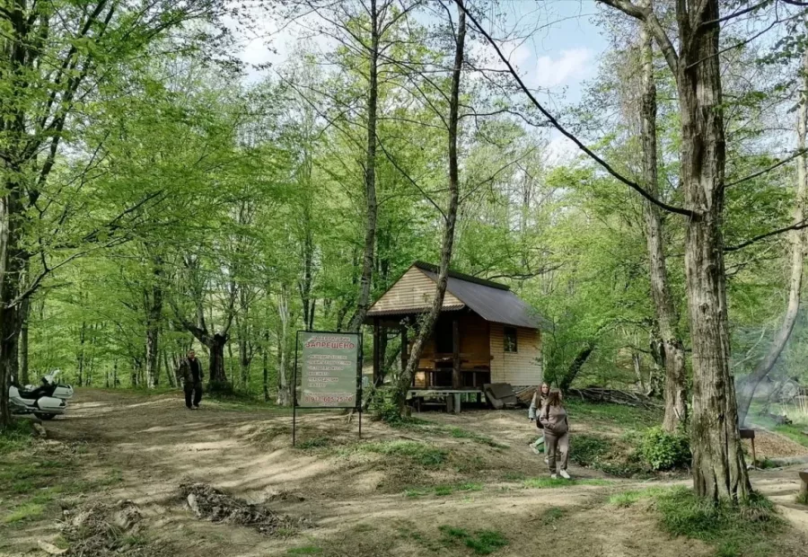 Эко-парк Зелёное в Адлере: Природа, Эко-Парк, Рыбалка, Мангал, Беседки, Предметы для Пикника,