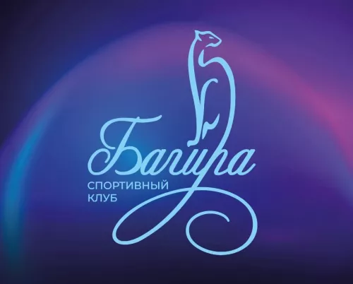 Спортивный клуб Багира  в  Краснодаре