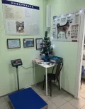 Миниатюра 4