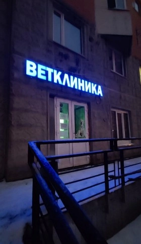 Ветеринарная клиника Ал-вет в Москве: УЗИ, Рентген, Зоотовары, Уход за животными, Выездные службы, Вакцинация,