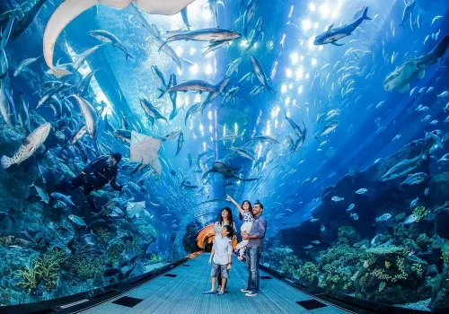 Океанариум Dubai Aquarium & Underwater Zoo в Дубаи