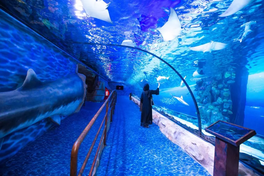 Океанариум Dubai Aquarium & Underwater Zoo в Дубаи: Вода, Экзотика, Океанариум, Аквариум, Плавание,