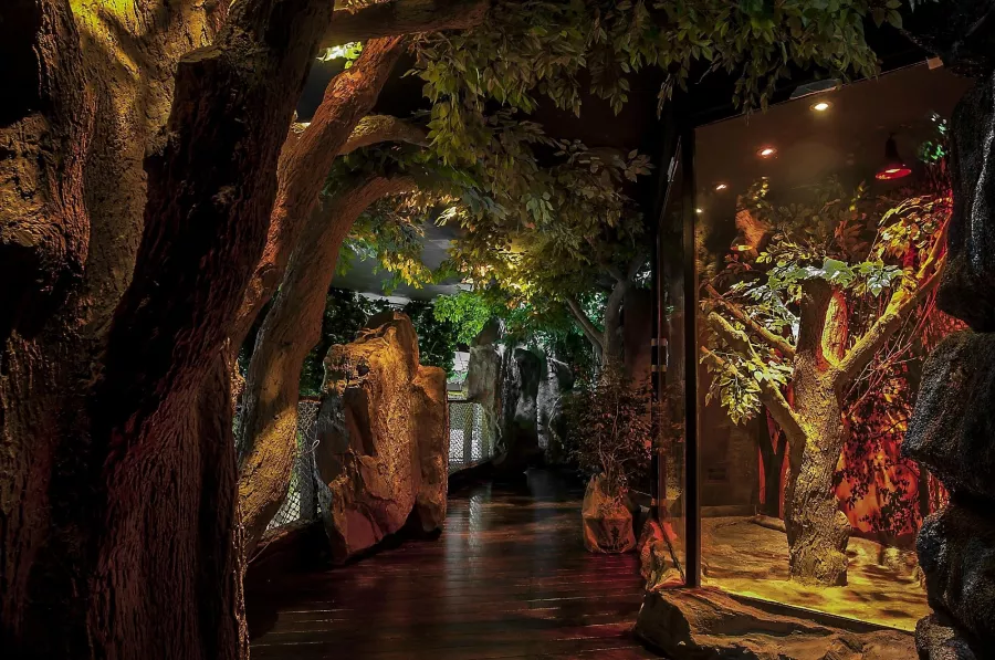 Океанариум Dubai Aquarium & Underwater Zoo в Дубаи: Вода, Экзотика, Океанариум, Аквариум, Плавание,