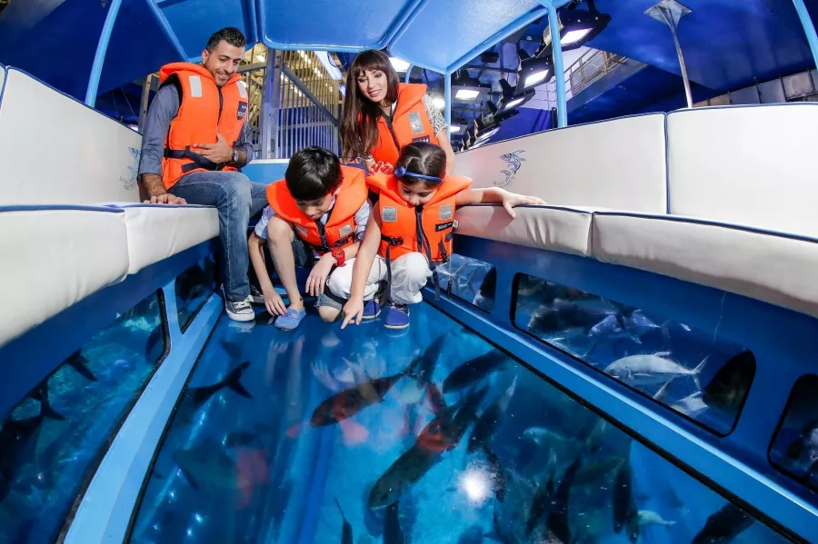 Океанариум Dubai Aquarium & Underwater Zoo в Дубаи: Вода, Экзотика, Океанариум, Аквариум, Плавание,