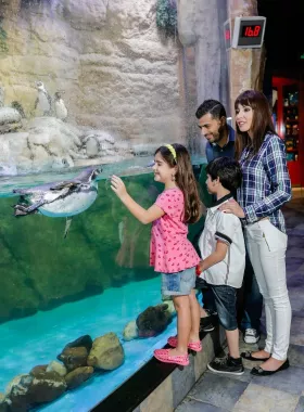 Океанариум "Dubai Aquarium & Underwater Zoo".