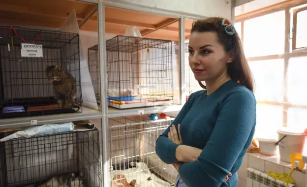Приют для пострадавших животных "Краснодог".