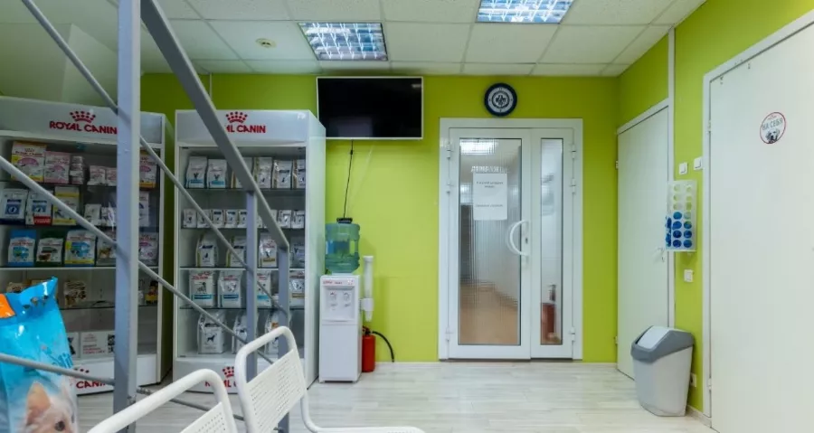 Ветеринарная клиника ZooClinic24 в Москве: Ратолог, УЗИ, Рентген, Стрижка, Кремация, Чипирование, Оксигенотерапия,