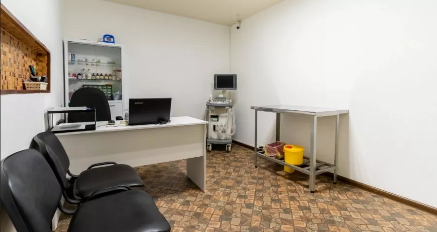 Ветеринарная клиника ZooClinic24 в Москве: Ратолог, УЗИ, Рентген, Стрижка, Кремация, Чипирование, Оксигенотерапия,