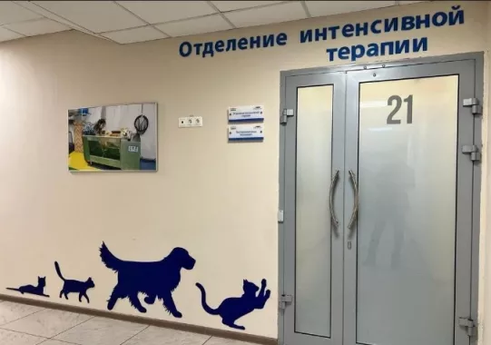 Ветеринарный центр "ИВЦ МВА Запад" .