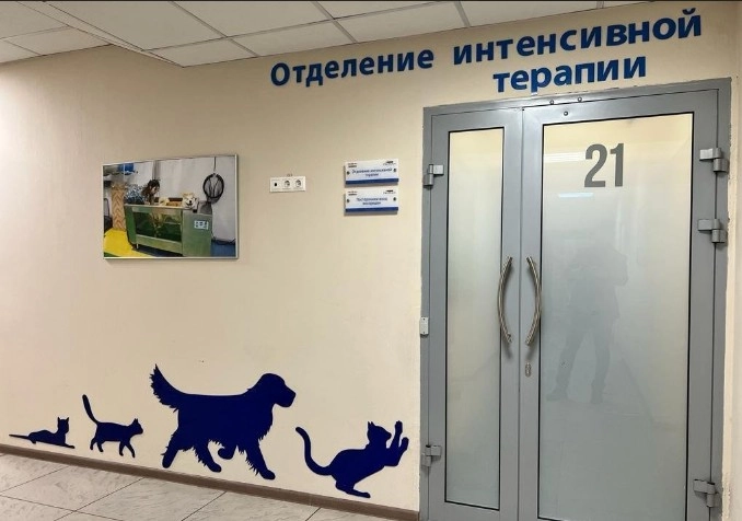 Ветеринарный центр ИВЦ МВА Запад в Москве: Анализы, УЗИ, Онлайн-услуги, Вакцинация, Стрижка, Стоматологические услуги, Груминг, Стационар, Акушерство,