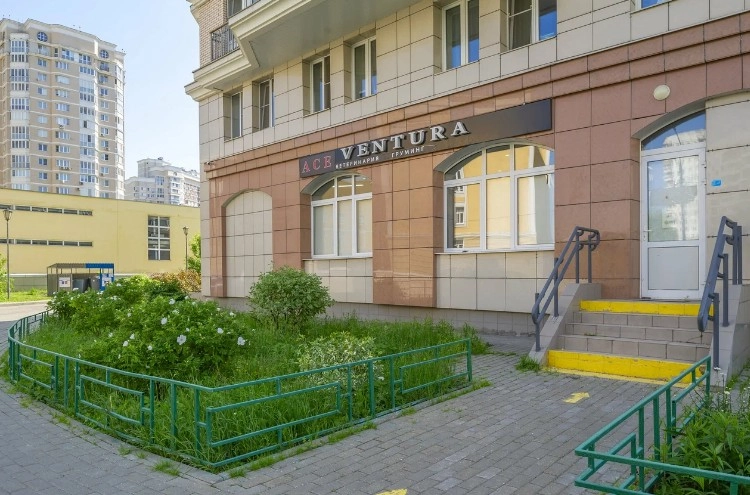 Зооцентр Эйс Вентура в Москве: УЗИ, Рентген, Орнитолог, Вакцинация, Стерилизация , Стоматолог,