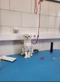 Миниатюра 9