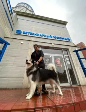 Ветеринарные клиники "Ветеринарный госпиталь им. А.И. Акаевского".