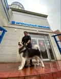 Миниатюра 11