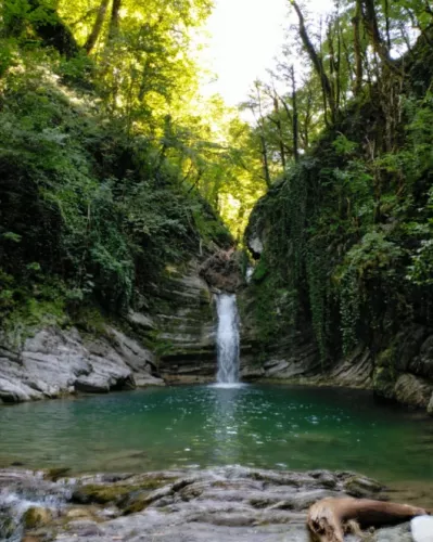 Самшитовый водопад  в  Сочи