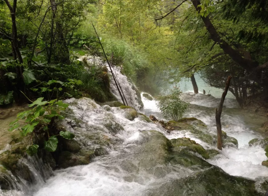 Самшитовый водопад в Сочи: Природа, Путешествие, Прогулка, Досуг, Водоём,