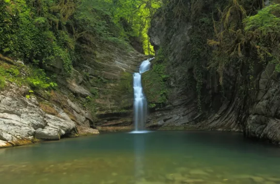 Самшитовый водопад