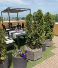 Миниатюра 16