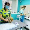 Миниатюра 8