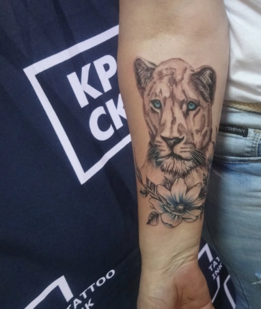 Тату-салон Tattoo&piercing studio Raccoon в Москве: Тату, Пирсинг, Перманент,