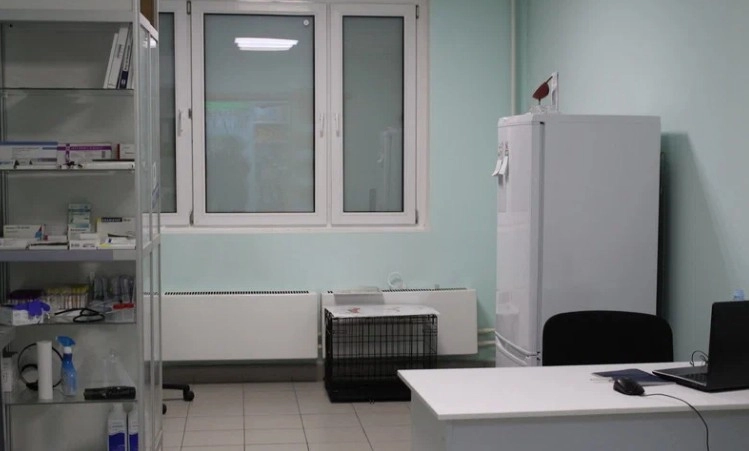 Зоотовары Мой питомец в Москве: УЗИ, Хирургия, Рентген, Вакцинация, Стрижка, Чипирование, Стоматология,
