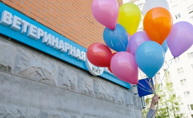 Ветеринарная клиника Кит в Москве: Выезд на дом, Орнитолог, Вакцинация, УЗИ, Стерилизация , Хирургия,